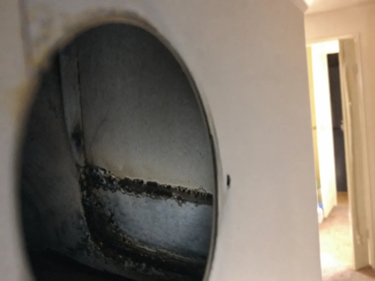 Air Duct Mold Removal in Cape Coral, FL